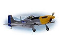 Phoenix Mustang P51 - 40 ARTF Image